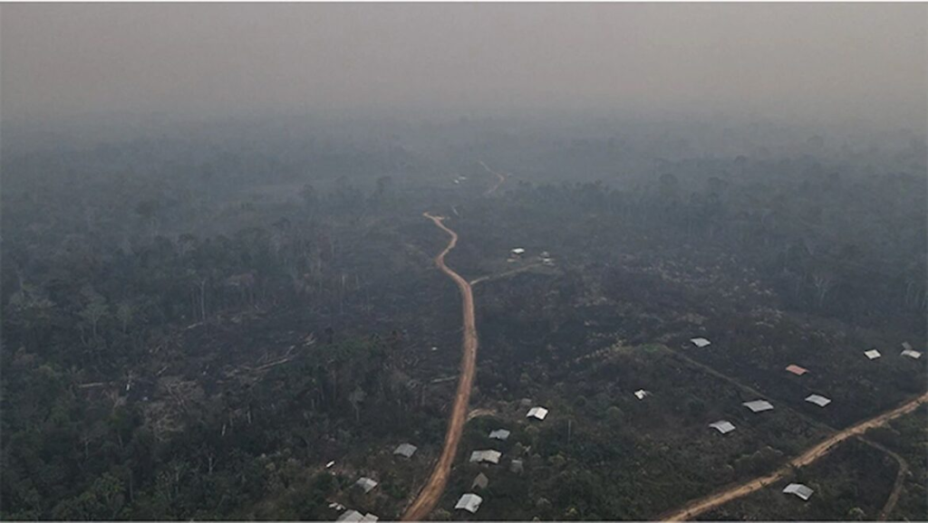 Incendios forestales arrasan más de 7000 hectáreas en Nueva Requena