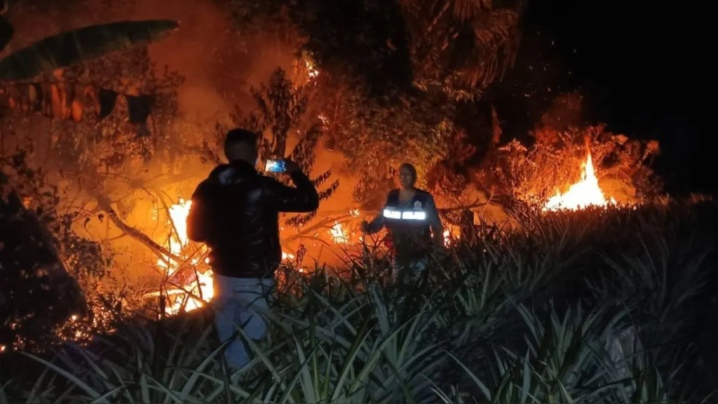 Ministro de Defensa señala que PCM evaluará declarar en emergencia las regiones de Amazonas, San Martín y Ucayali
